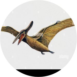 Pteranodontidae