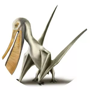 Pterodaustro