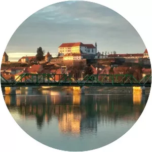 Ptuj (פטוי)