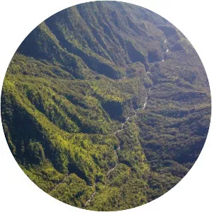 Puʻu Kukui - 