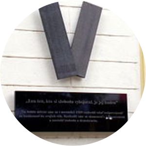 Public Against Violence