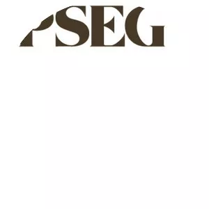 Public Service Enterprise Group - Electric services company