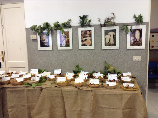 Public Service Green Cross Onlus