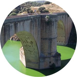 Puente de Almaraz