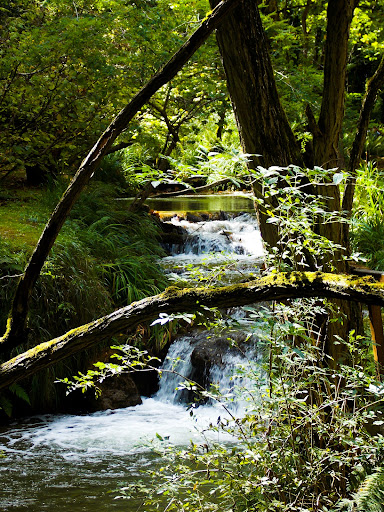 Puente de la Barquera