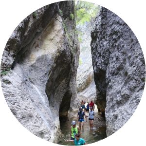 puente de las herrerias cerrada del pintor