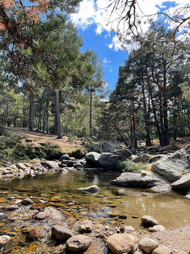 Puente de los pintores