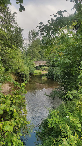 Puente Medieval - Amandi - Bridge in Amandi, Spain