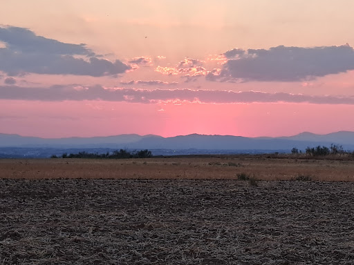 Puente sobre la M-50