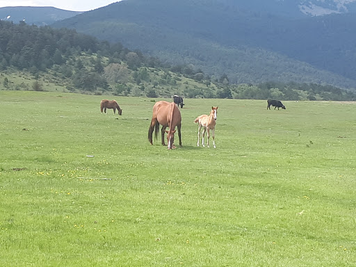 Puerta De Santillana 