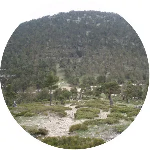 Puerto de La Fuenfría