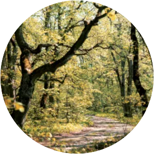 Puhtu - Islet in Estonia