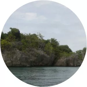Pulau Asutubun