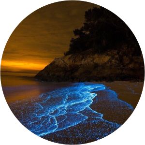 pulau sembilan perak - 