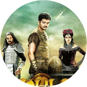 Puli
