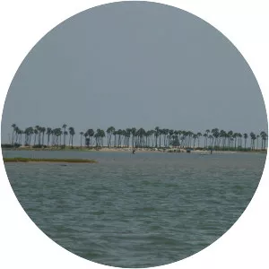 Pulicat Lake - Lagoon in India
