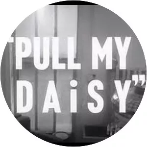 Pull My Daisy