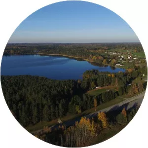 Pullijärv