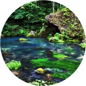 Pulltite Spring - Spring in Missouri