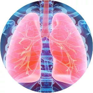Pulmonology - Medical specialization