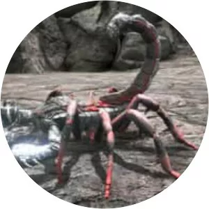 Pulmonoscorpius kirktonensis