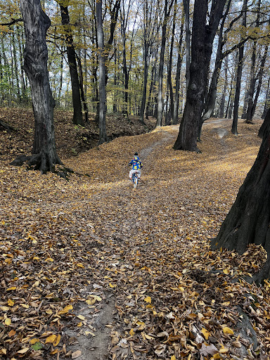 PumpTrack w Jaworzu - Cycling park in Jaworze, Silesian Voivodeship, Poland