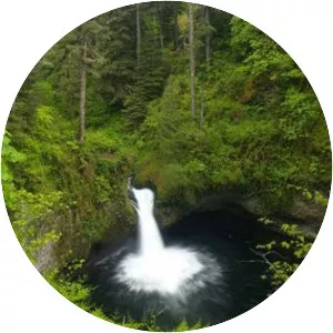Punch Bowl Falls