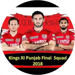 Punjab cricket team