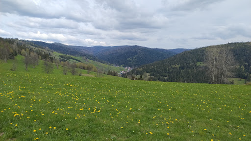 Punkt widokowy - niebieski szlak na Stare Wierchy