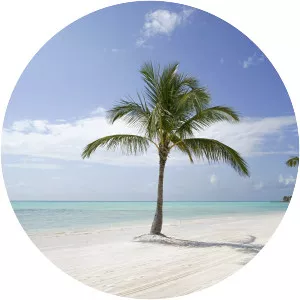 Punta Cana - Town in the Dominican Republic