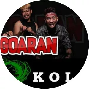 Punxgoaran - Musical artist