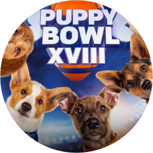 Puppy Bowl