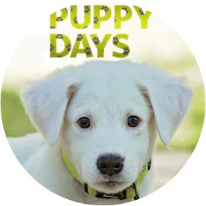 Puppy Days - TV program