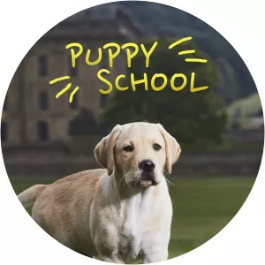 Puppy School - 2019 ‧ 1 season