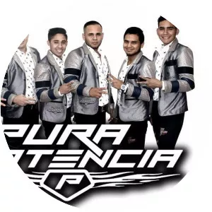 Pura Potencia - Musical artist