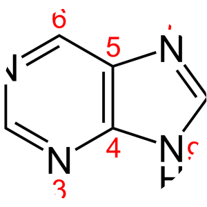 Purine - Chemical compound