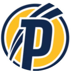 Puskás Akadémia FC - Football club