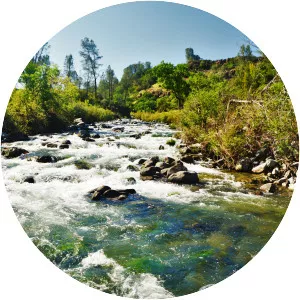 Putah Creek