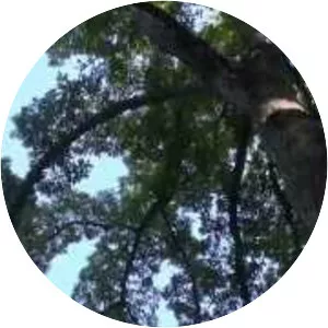 Putnam Memorial State Park - 