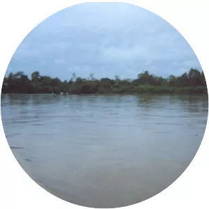Putumayo River - Tributary in South America