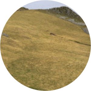 Puy Violent - Mountain in France