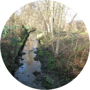 Pyl Brook - Stream in England