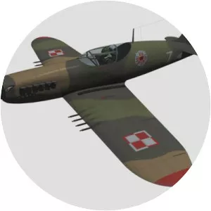 PZL. 55 - Aircraft model