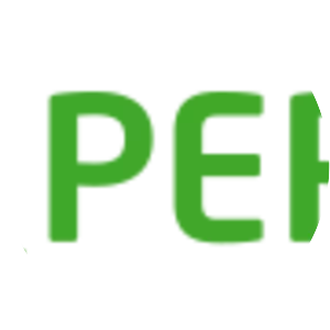 Q_PERIOR AG - IT service management company