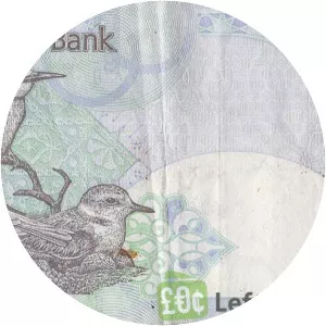 Qatari riyal