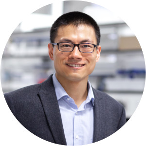 Qilei Song - Researcher