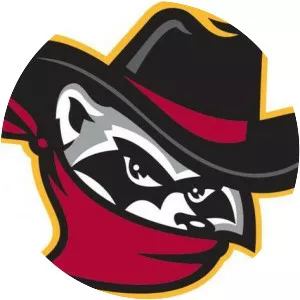Quad Cities River Bandits