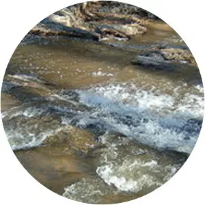 Quantico Creek - Tributary in Virginia