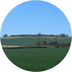 Quarley Hill