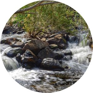 Queanbeyan Nature Reserve